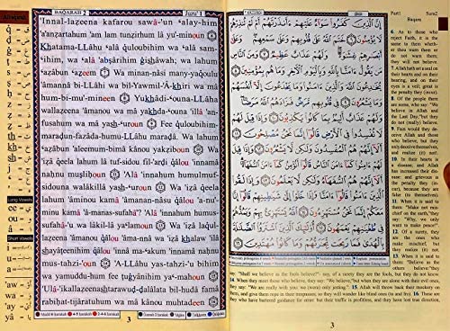 Tajweed Quran with English Translation & Transliteration