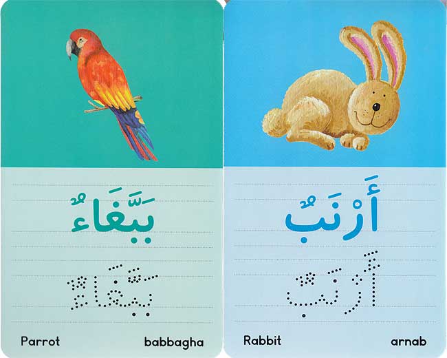 Arabic Words Activity Flash Cards